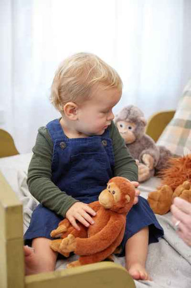 The Orangutans